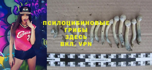 ALPHA PVP Красноперекопск