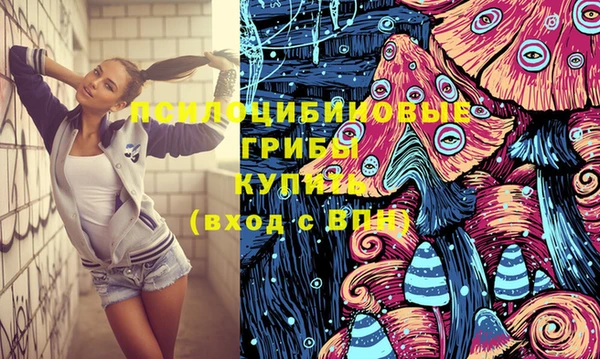 прущие грибы Билибино