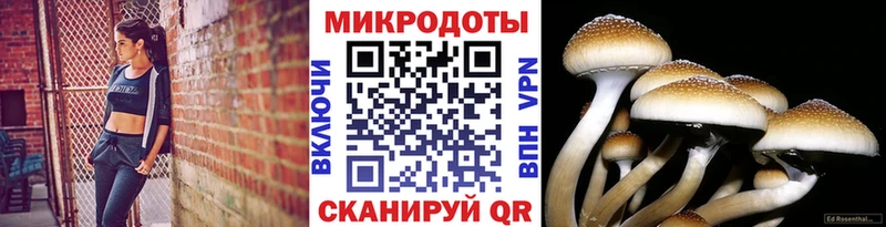 Псилоцибиновые грибы мицелий  kraken tor  Лысково 